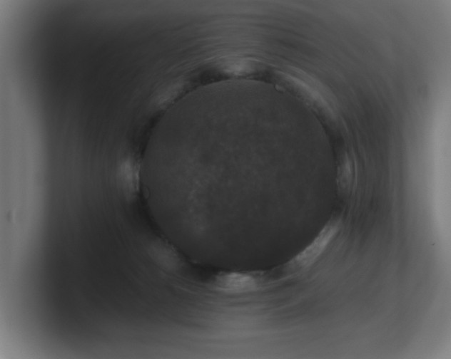 X0000101710180200807171543