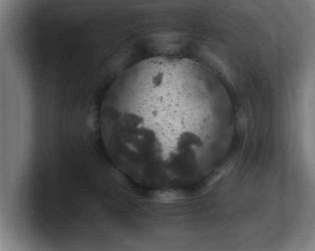 X0000101710181200807171543