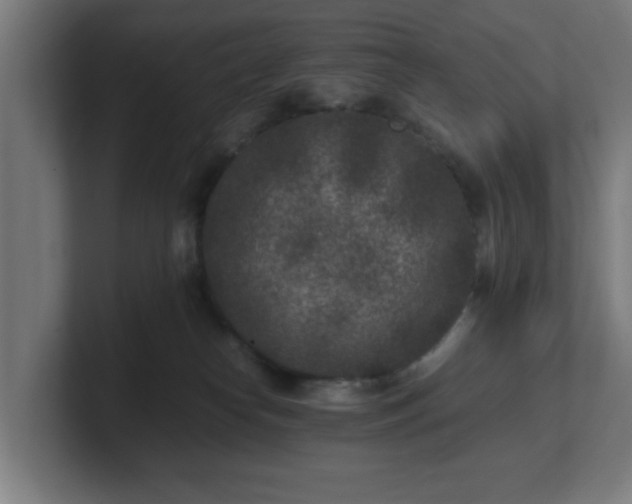 X0000101710182200807171543