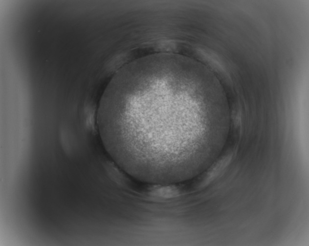 X0000101710185200807171543