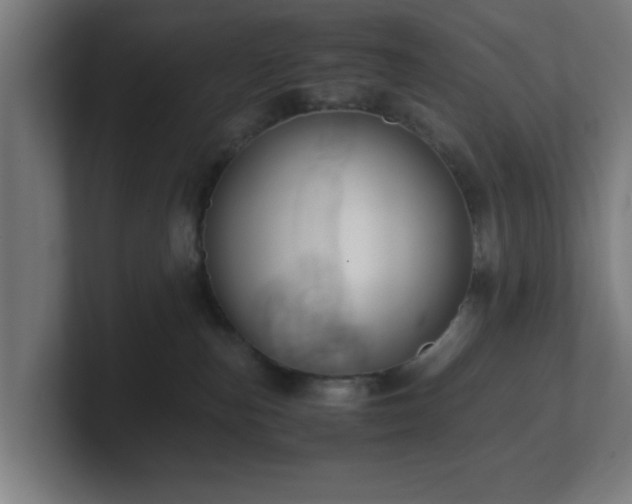 X0000101710187200807171543