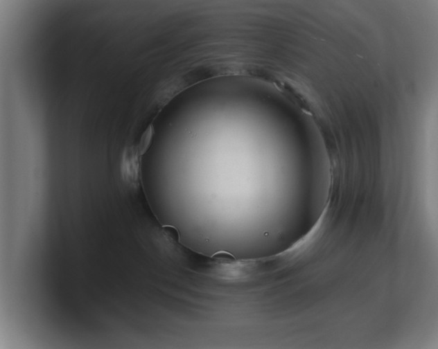 X0000101710190200807171543