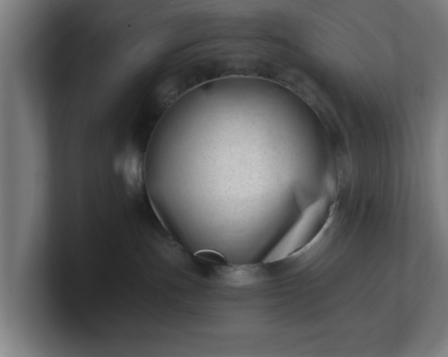 X0000101710191200807171543