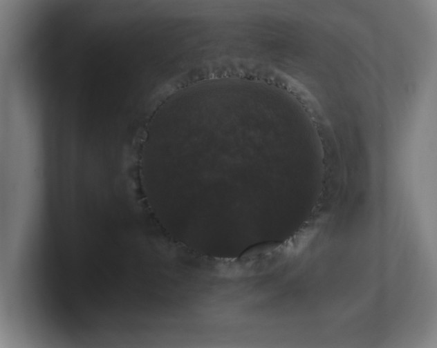 X0000101710192200807171543