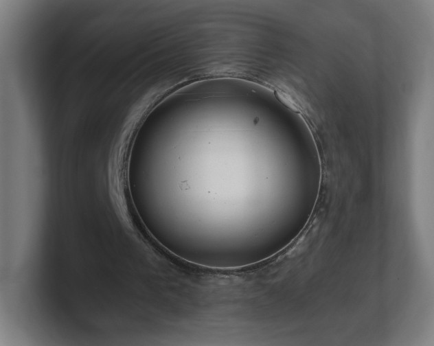 X0000101710193200807171543