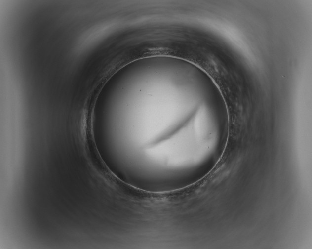 X0000101710194200807171543