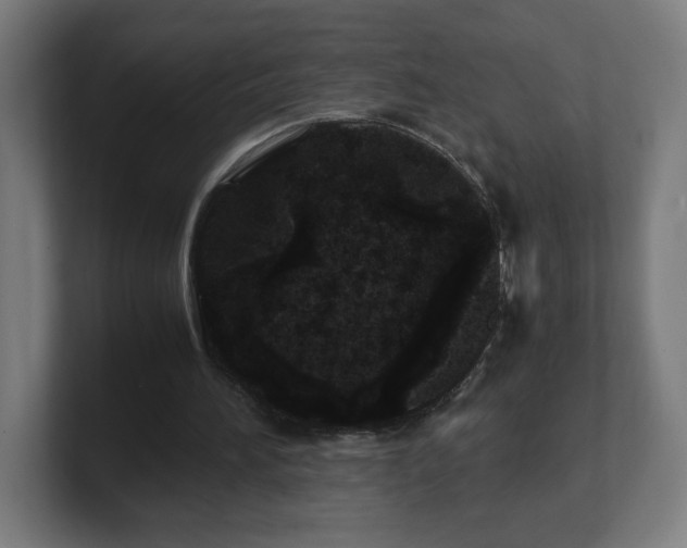 X0000101710196200807171543