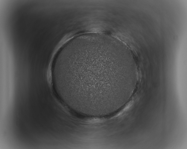 X0000101710198200807171543