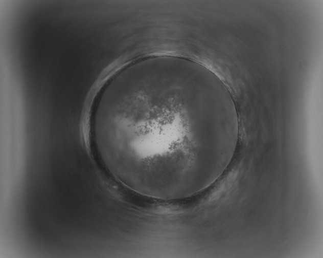 X0000101710199200807171543