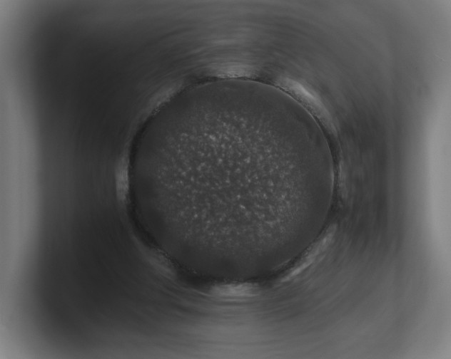 X0000101710202200807171543