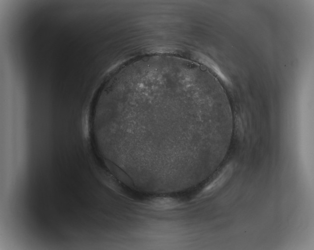 X0000101710203200807171543