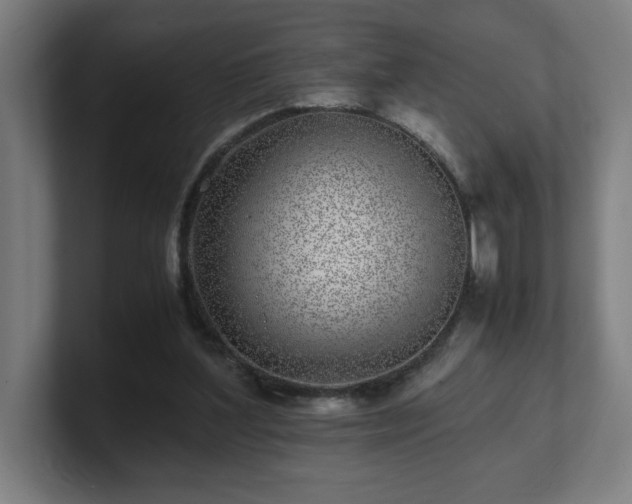 X0000101710204200807171543