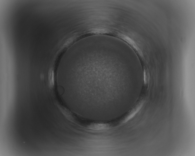 X0000101710205200807171543