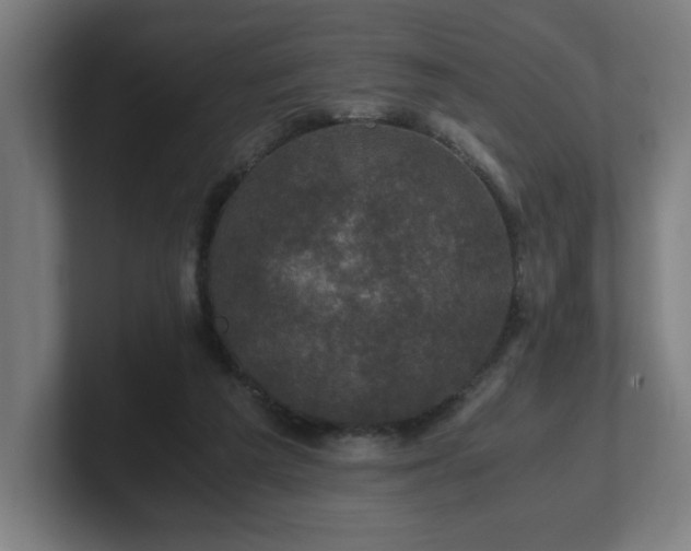 X0000101710209200807171543