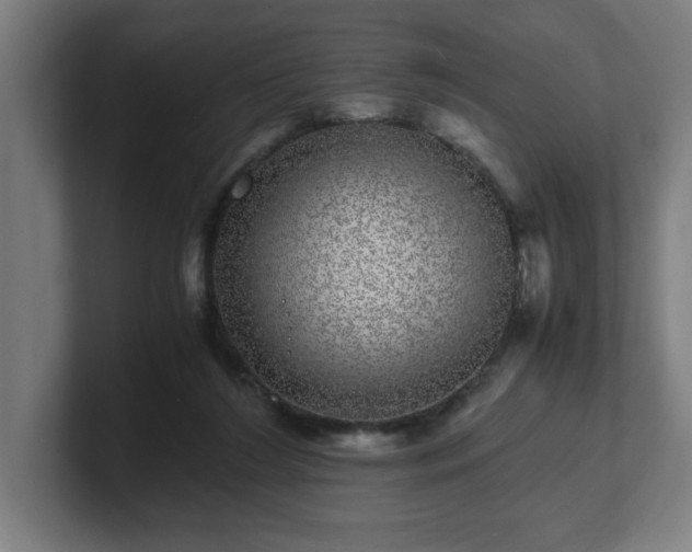 X0000101710212200807171543