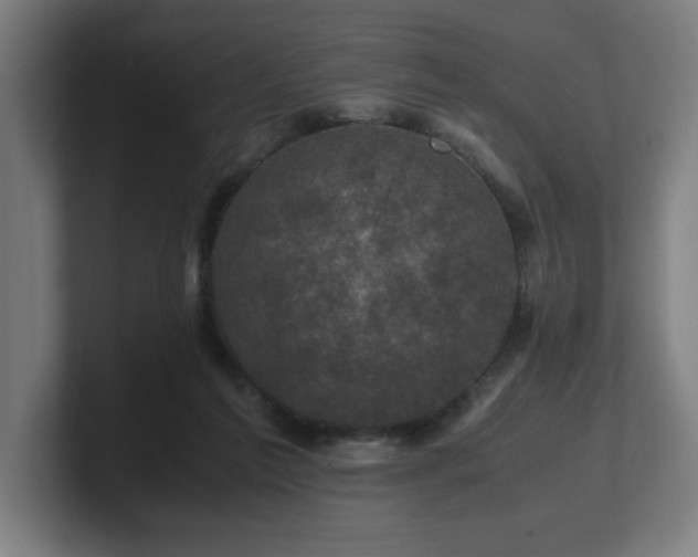 X0000101710213200807171543