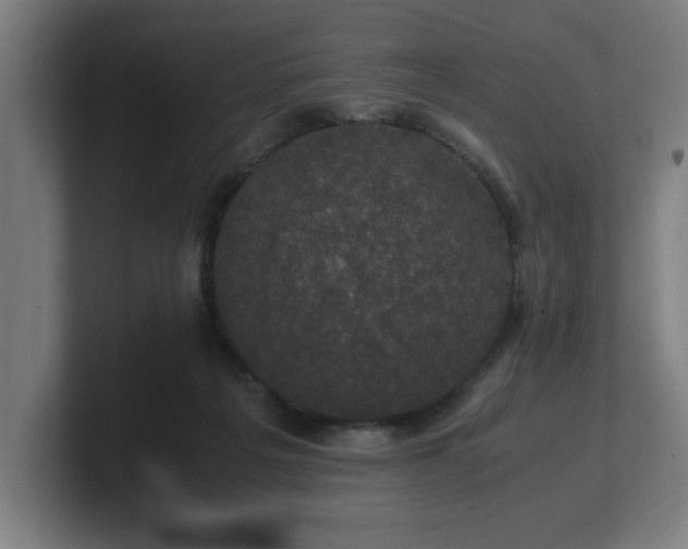 X0000101710217200807171542