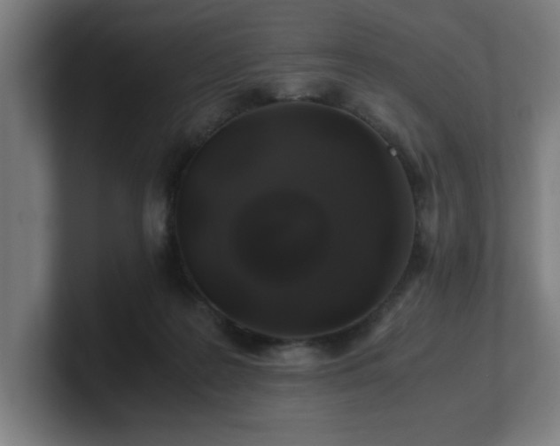 X0000101710219200807171542