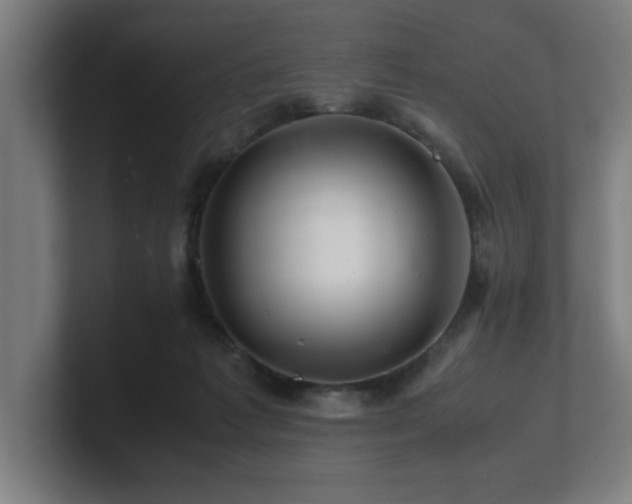 X0000101710221200807171542