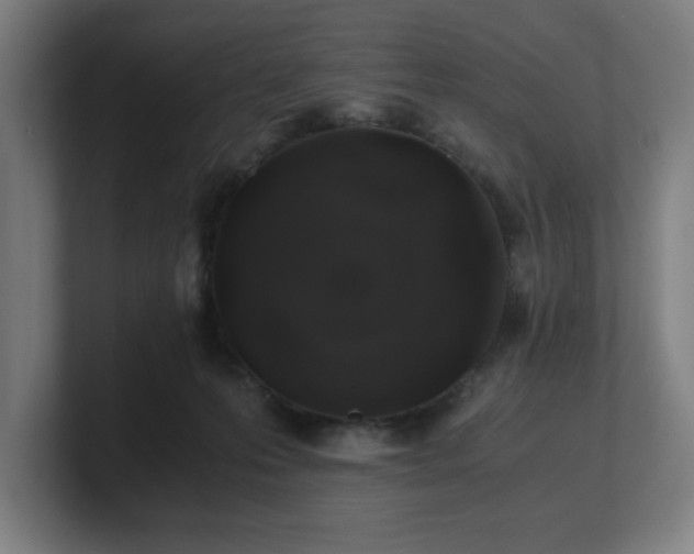 X0000101710223200807171542