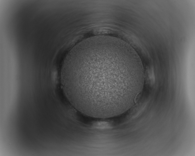 X0000101710224200807171542