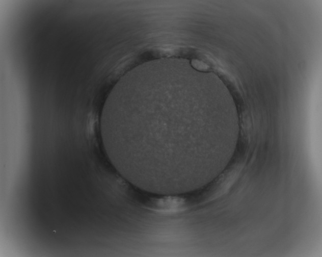 X0000101710225200807171542