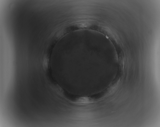 X0000101710227200807171542