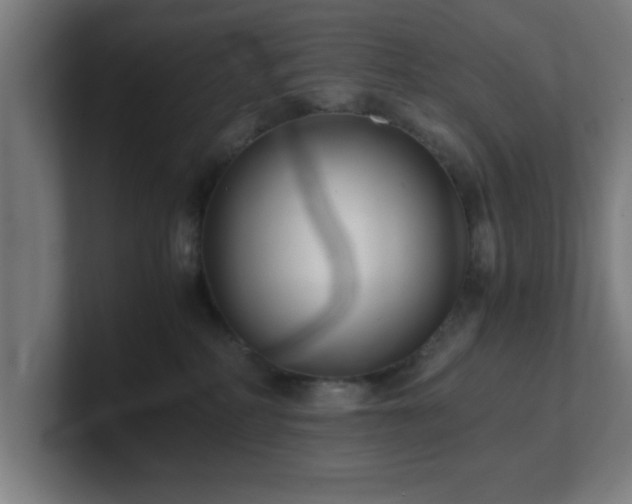 X0000101710234200807171542