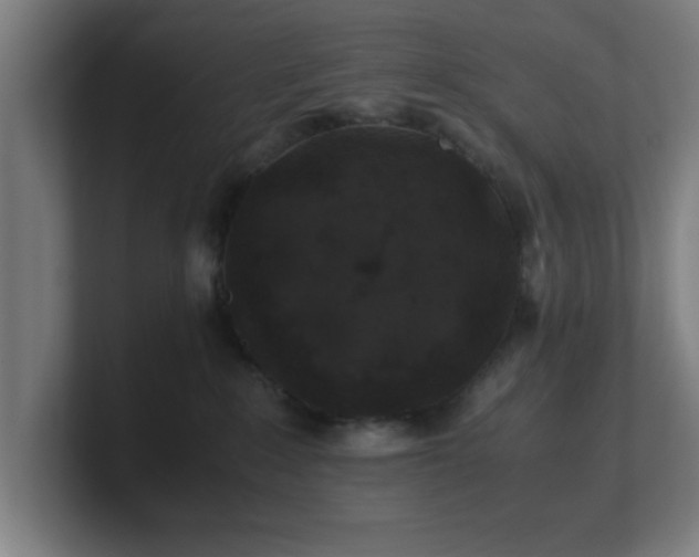 X0000101710235200807171542