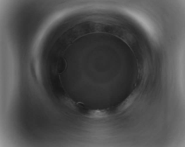 X0000101710239200807171542