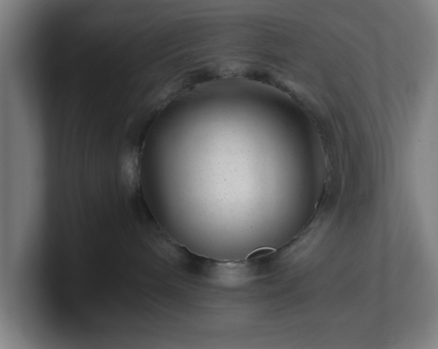 X0000101710240200807171542