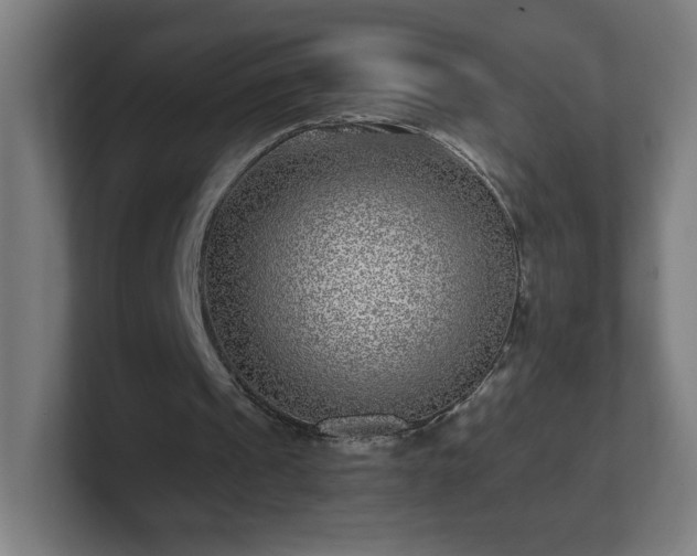 X0000101710241200807171541