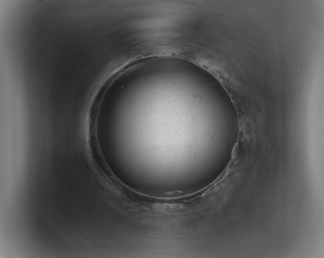 X0000101710242200807171541