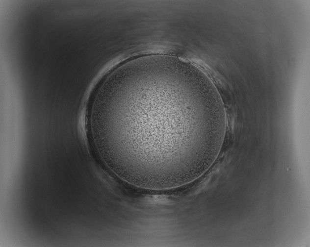 X0000101710244200807171541