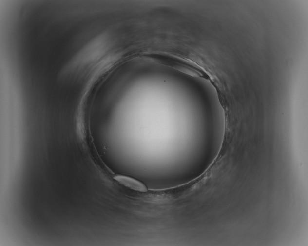 X0000101710245200807171541