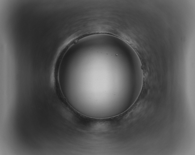 X0000101710248200807171541