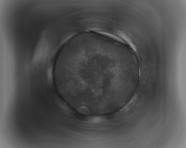 X0000101710249200807171541