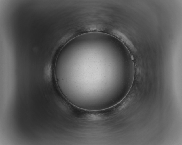 X0000101710250200807171541