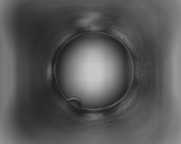 X0000101710251200807171541