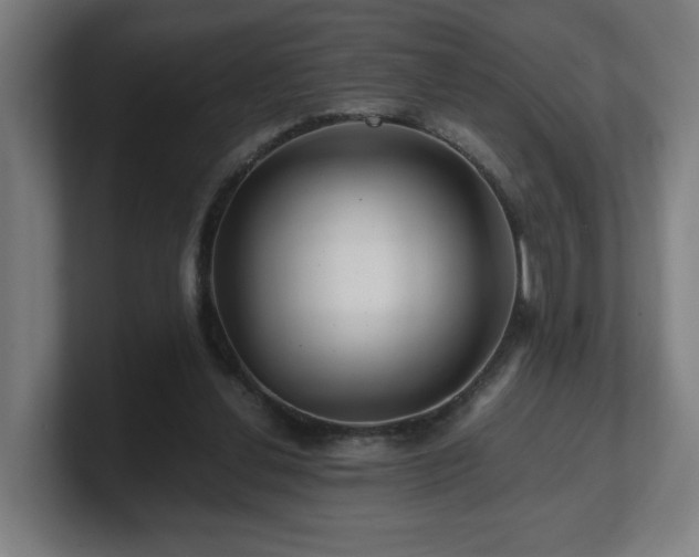 X0000101710252200807171542