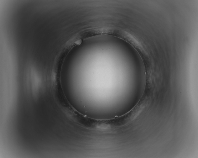 X0000101710258200807171542