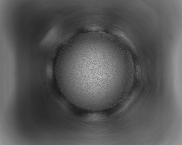 X0000101710259200807171542