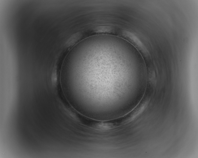 X0000101710261200807171542