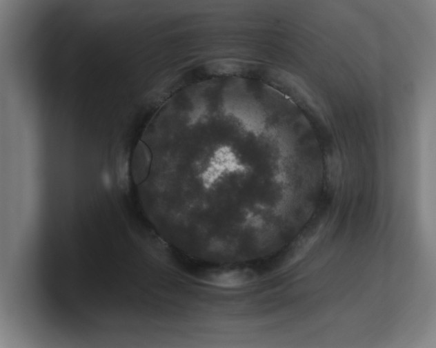 X0000101710267200807171542