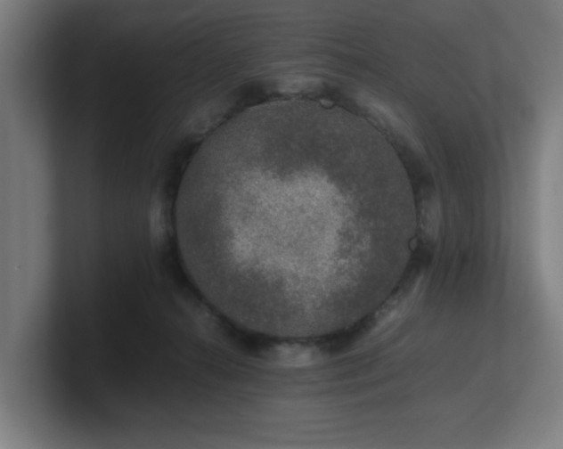 X0000101710272200807171542