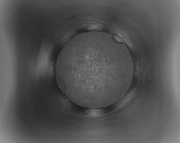 X0000101710273200807171542