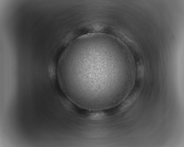 X0000101710274200807171542