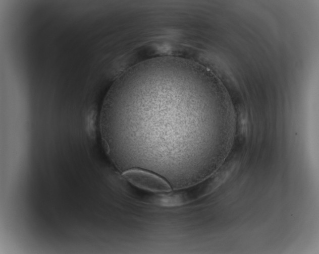 X0000101710275200807171542