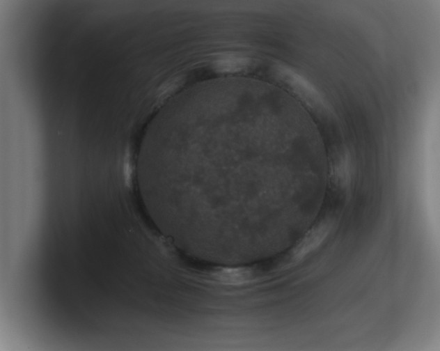 X0000101710277200807171542