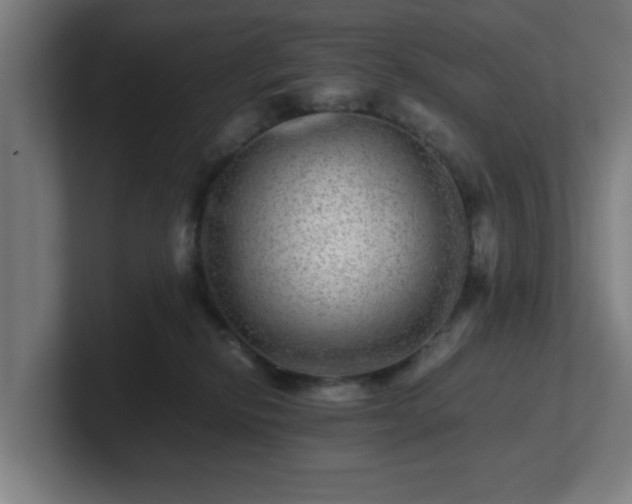 X0000101710278200807171542